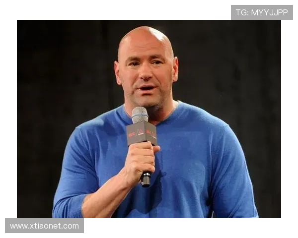 综合格斗竞技魅力与技术演进及未来发展趋势深度剖析全球格局变化 - 副本