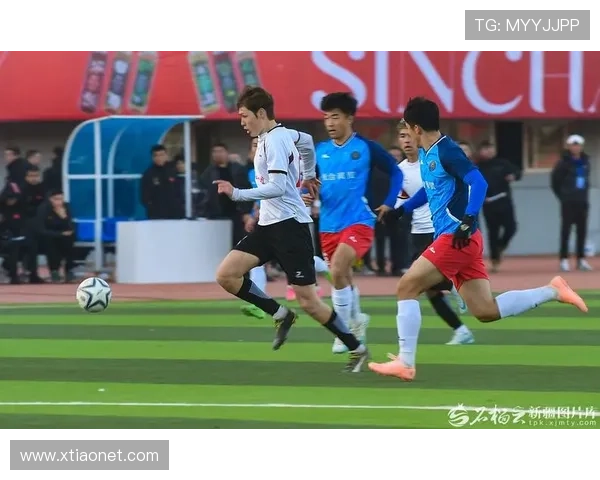 巅峰对决再燃激情全国体育赛事最新动态全解析